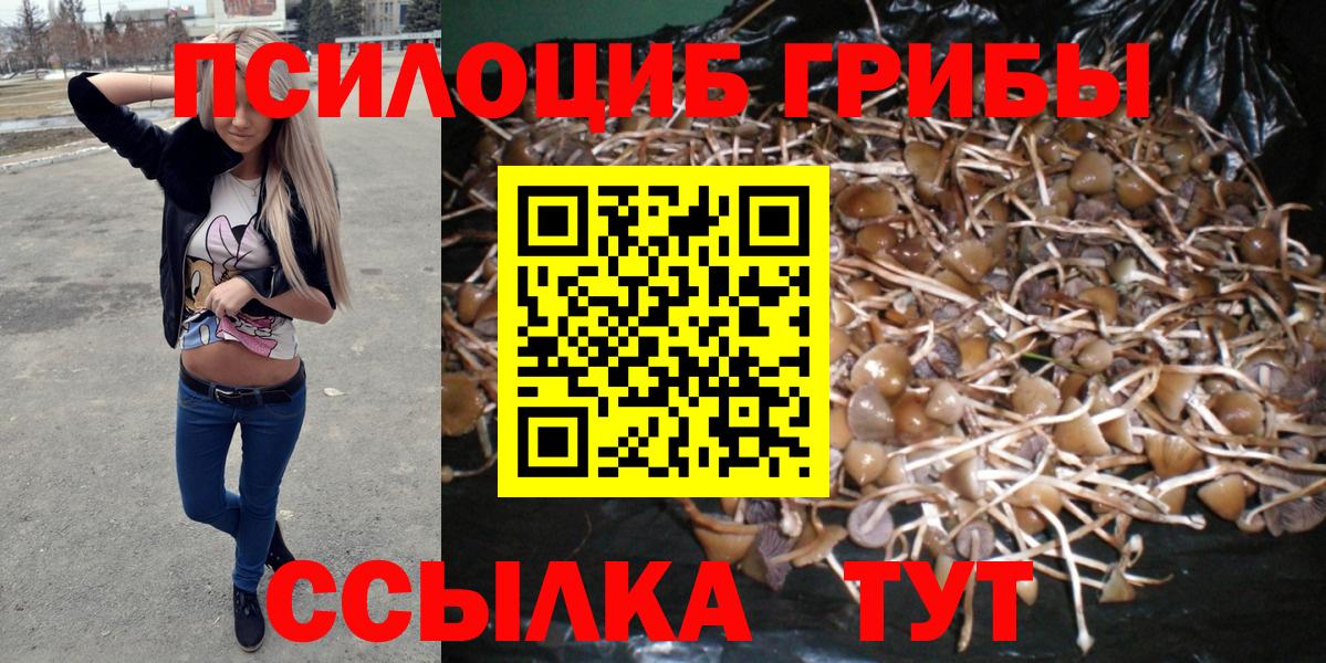 Галлюциногенные грибы мицелий Выкса